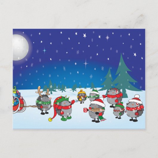 ハリネズミのクリスマス魔法 シーズンポストカード (正面)