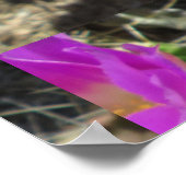 ハリネズミのサボテン ポスター (角)