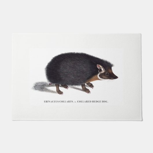 ハリネズミのドア・マット ドアマット (正面)