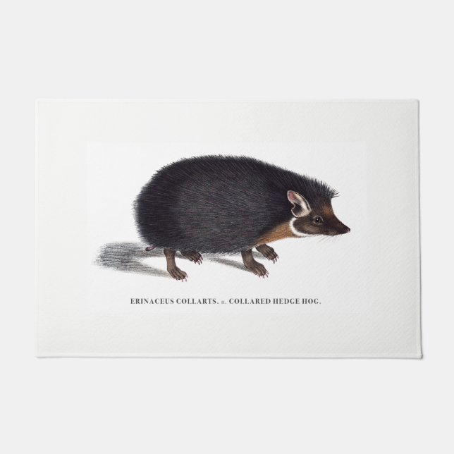 ハリネズミのドア・マット ドアマット (正面)