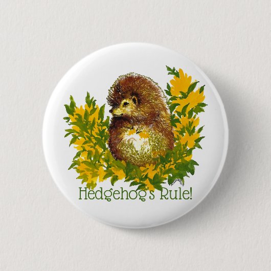 ハリネズミのルールファンシー可愛いラペルシャツジャケット 缶バッジ (正面)