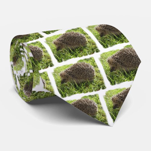 ハリネズミの人のネクタイ ネクタイ (ロール)