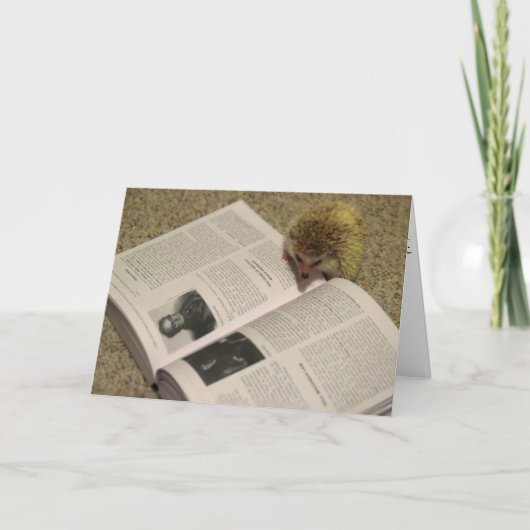 ハリネズミの卒業カードの調査 カード (正面)