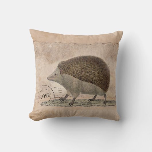 ハリネズミの枕20x20 クッション (正面)