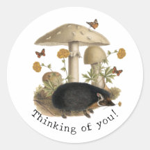 ハリネズミの森