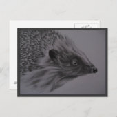 ハリネズミの郵便はがき ポストカード (正面/裏面)