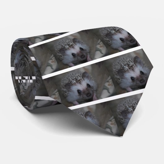 ハリネズミの顔 ネクタイ (ロール)