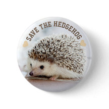 ハリネズミを救って下さい