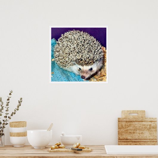 ハリネズミを食べる ポスター (キッチン)