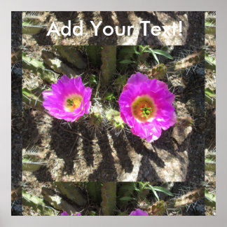 ハリネズミサボテン ポスター