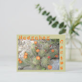 ハリネズミサボテン ポストカード (スタンド正面)