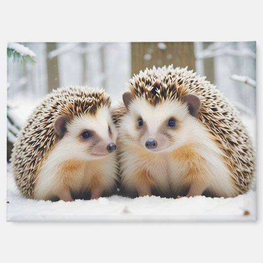ハリネズミ動物自然野生動物気にの愛情 マグネット (正面)