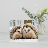 ハリネズミ動物自然野生動物気にの愛情 箔シーズンポストカード (立ち正面)