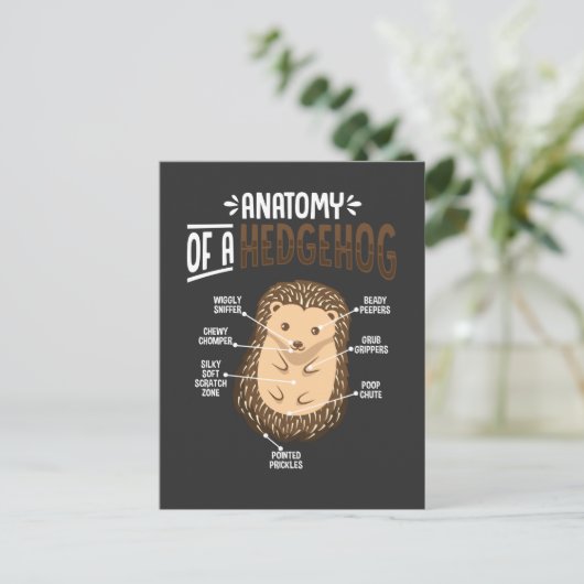 ハリネズミ好きな人のためのキュートな森の動物解剖学 ポストカード (スタンド正面)