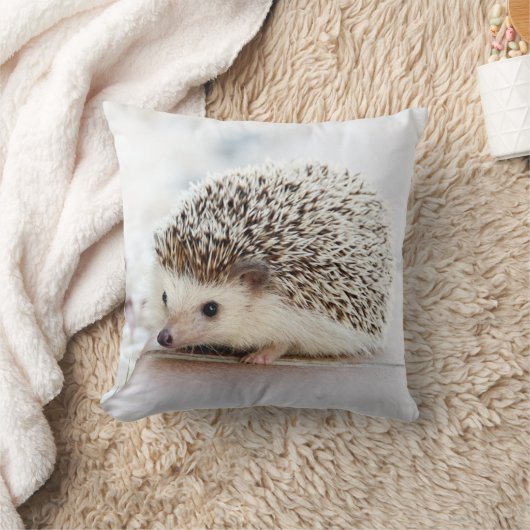 ハリネズミ枕 クッション (ブランケット)