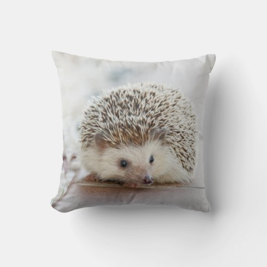 ハリネズミ枕 クッション (正面)