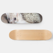 ハリネズミ – とげだらけの哺乳動物 スケートボード (横)