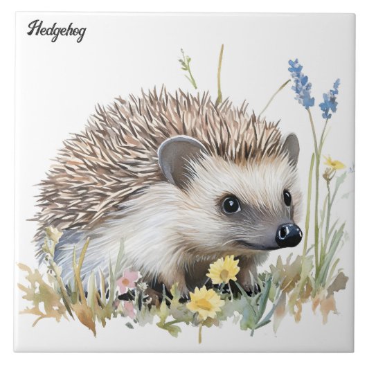 ハリネズミ タイル (正面)
