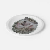 ハリネズミ ペーパープレート (アングル)