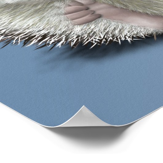 ハリネズミ ポスター (角)