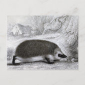 「ハリネズミ」 ポストカード (正面)