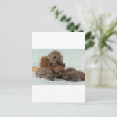 ハリネズミ ポストカード (スタンド正面)