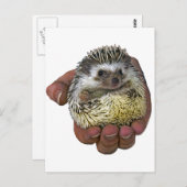 ハリネズミ ポストカード (正面/裏面)