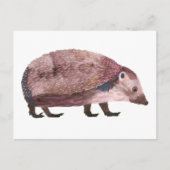 ハリネズミ ポストカード (正面)