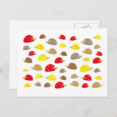 ハリネズミ ポストカード (正面/裏面)