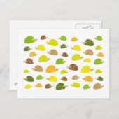 ハリネズミ ポストカード (正面/裏面)