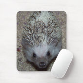 ハリネズミ マウスパッド (マウス)