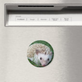 ハリネズミ マグネット (インサイチュ (食洗機))