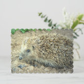 ハリネズミ 招待状 (スタンド正面)