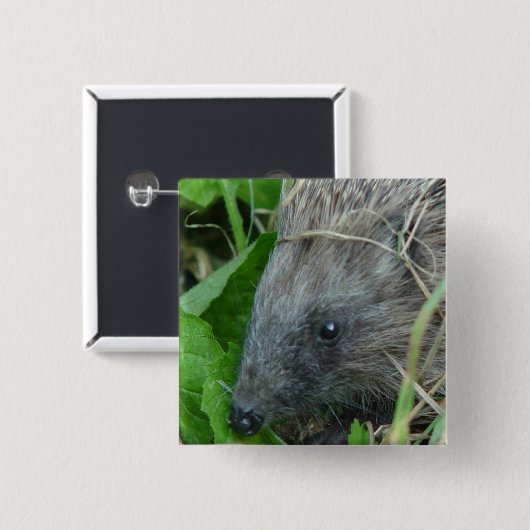 ハリネズミ#1 缶バッジ (正面&裏面)