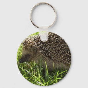 ハリネズミKeychain キーホルダー