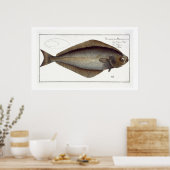 ハリバイ(ヒポグロサス胸膜)プレートXLVII fr ポスター (キッチン)