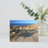 ハリバットポイントタイドプールロックポートケープアン ポストカード (スタンド正面)