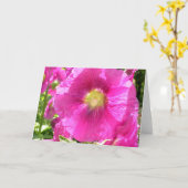 ハリヒゴカード カード (黄色い花)