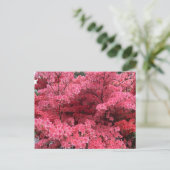 ハリファックスノバスコシアはがきのシャクナゲ ポストカード (スタンド正面)