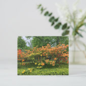 ハリファックスノバスコシア葉書の開花木 ポストカード (スタンド正面)