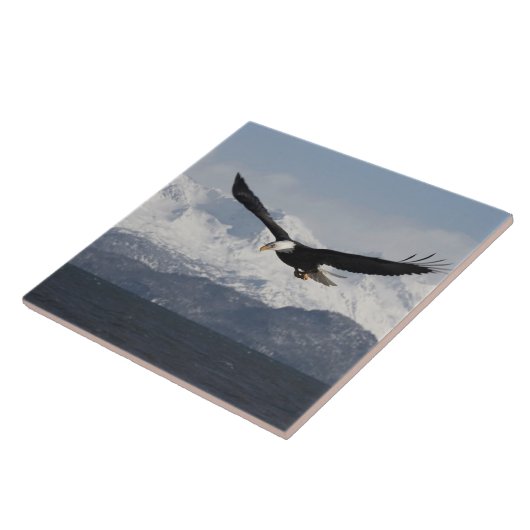 ハリファータス・ロイコセファルスの禿げたワシ タイル (側面)