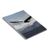 ハリファータス・ロイコセファルスの禿げたワシ ノートブック (右側)