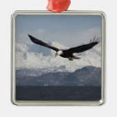 ハリファータス・ロイコセファルスの禿げたワシ メタルオーナメント (正面)