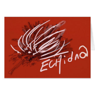 ハリモグラのアリクイのヤマアラシのハリネズミの蟻の食べる人