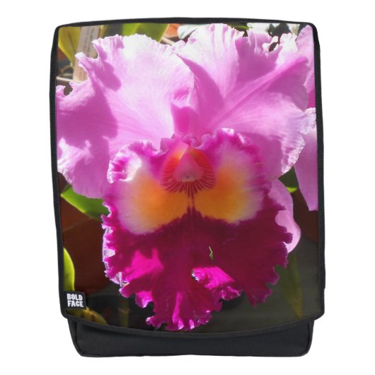 ハリンデ バックパック (正面)