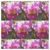 ハリンデ ファブリック (見本)