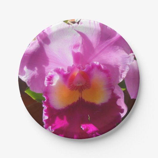 ハリンデ ペーパープレート (正面)