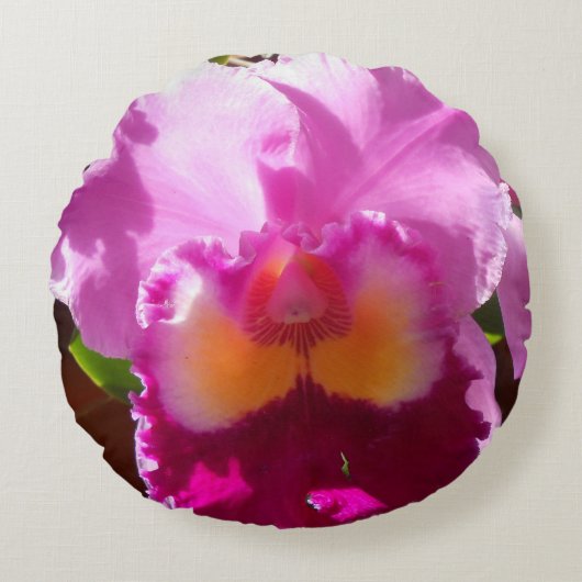 ハリンデ ラウンドクッション (正面)