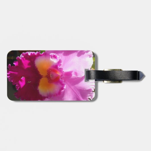 ハリンデ ラゲッジタグ (裏面横)