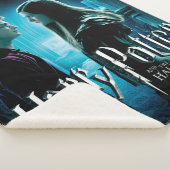 ハリーとジニー1 シェルパブランケット (3/4)